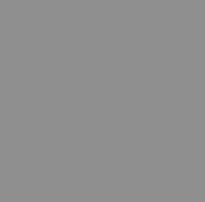 ral9007 ezüst